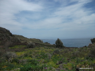 zzena-30-03-2013 12-22-59